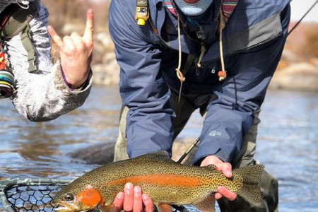 Pike Fishing with a Fly or Spinning