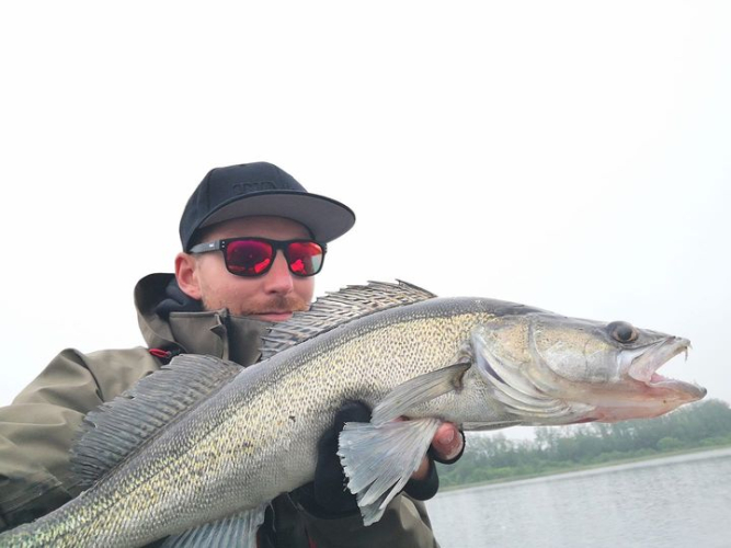 Boat fishing for Zander In Sweden