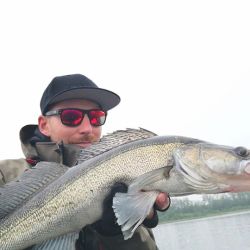 Boat fishing for Zander In Sweden