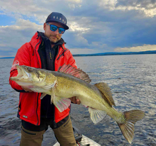 Boat fishing for Zander In Sweden